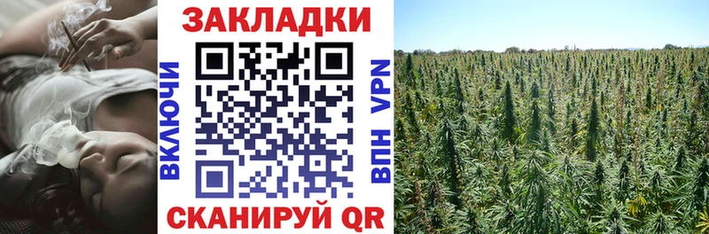 Виды наркотиков купить Беломорск Гашиш  A PVP  Мефедрон 