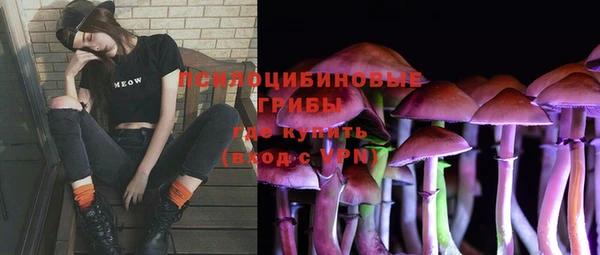 ГАЛЛЮЦИНОГЕННЫЕ ГРИБЫ Абинск