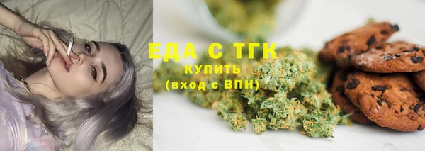 гашик Ельня