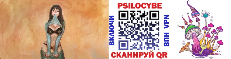 Галлюциногенные грибы Psilocybe Беломорск